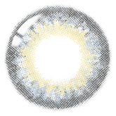 Lenstown 1-Day 247 Diary Gray (10 Pack)